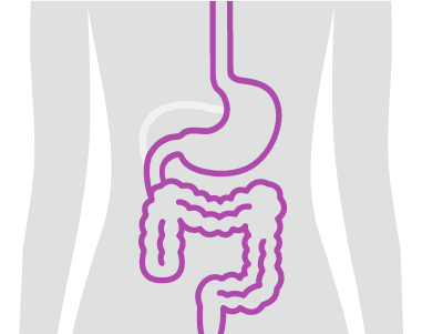 Digestive care illustration