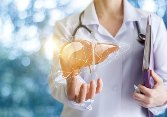 Doctor with futuristic image of liver floating above hand