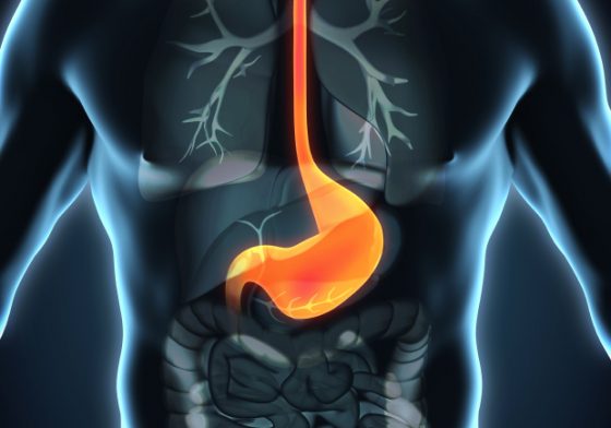 illustration with illuminated esophagus
