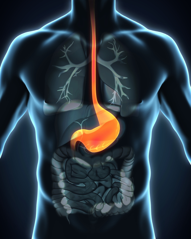 illustration with illuminated esophagus